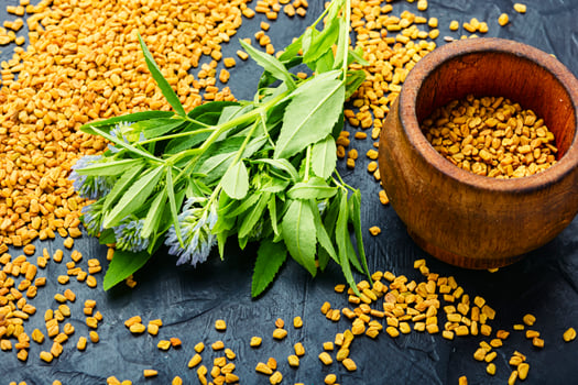 Fenugreek seeds and leaves photo