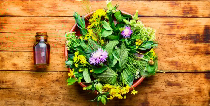 Natural medicine,fresh plants,healing herbs photo
