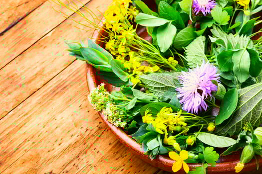 Natural medicine,fresh plants,healing herbs photo