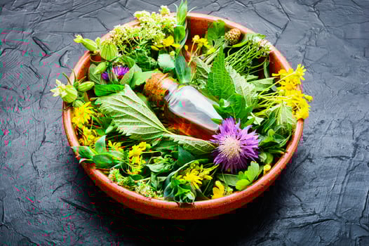 Natural medicine,fresh herbs photo