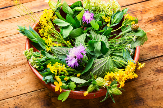Natural medicine,fresh plants,healing herbs photo