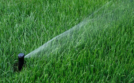 Automatic garden irrigation system watering lawn. Savings of water from sprinkler irrigation system with adjustable head. Automatic equipment for irrigation and maintenance of lawns, gardening. photo