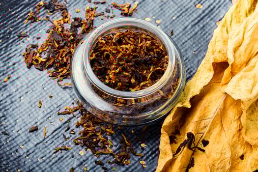 Smoking pipe with tobacco leaves photo