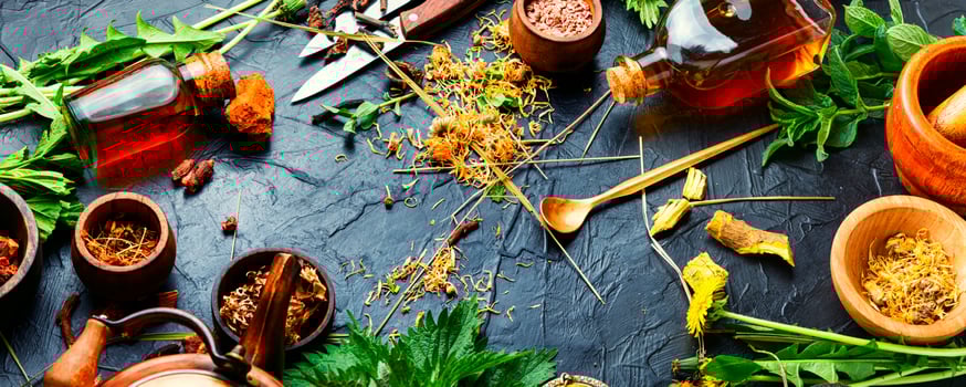 Healing herbs and roots in natural herbal medicine photo