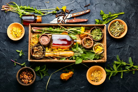 Healing herbs,roots and extracts in herbal medicine photo