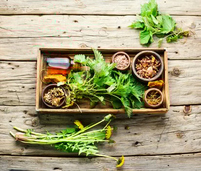 Healing herbs,roots and extracts in herbal medicine photo