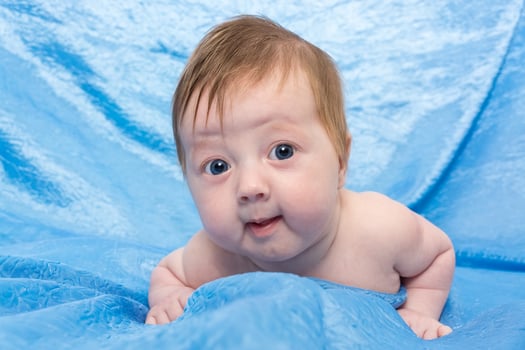 child on a blue background photo