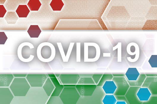 Niger flag and futuristic digital abstract composition with Covid-19 inscription. Coronavirus outbreak concept photo