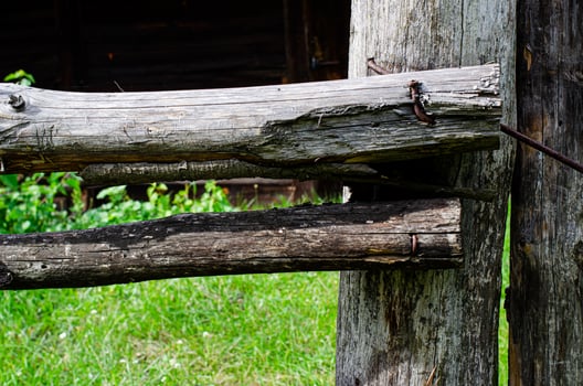 harness for horses , wooden fence photo