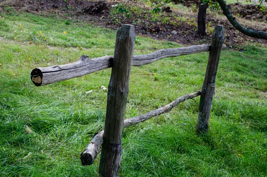 harness for horses , wooden fence photo