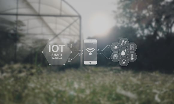 Agriculture technology farmer man using tablet Modern technology concept agriculture. photo