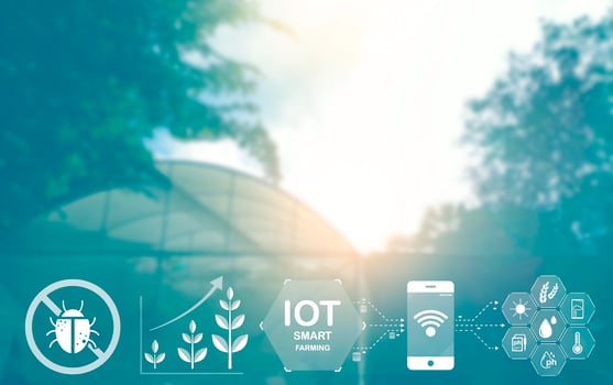 Agriculture technology farmer man using tablet Modern technology concept agriculture. photo
