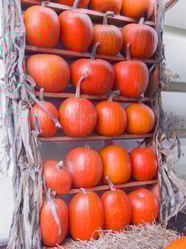 Beautifully decorated with pumpkins wooden shelves showcase shop or cafe photo