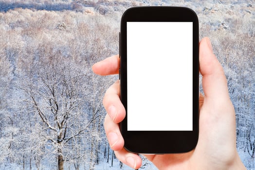 tourist photographs frozen oak forest in winter photo