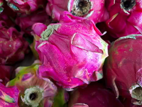 bunch of red sweet dragon fruit. several big sweet red dragon fruit put on wooden table on natural background for sale in fruit shop photo