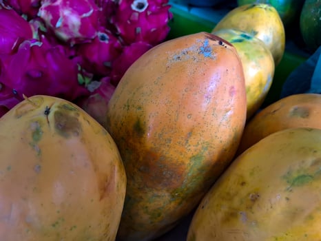 bunch of sweet orange papaya fruit. several big sweet papaya fruit put on wooden table on natural background for sale in fruit shop photo