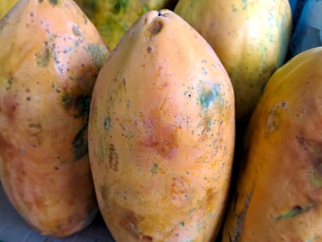 bunch of sweet orange papaya fruit. several big sweet papaya fruit put on wooden table on natural background for sale in fruit shop photo