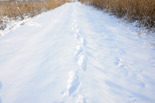 A lot of human tracks leave into the distance on the snow-covered road photo