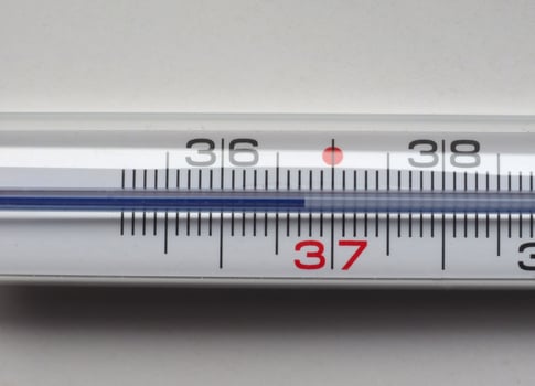 body temperature thermometer photo
