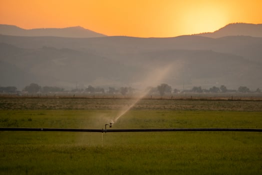 Water Spraying On Crops Through Sprinkler At Farm photo
