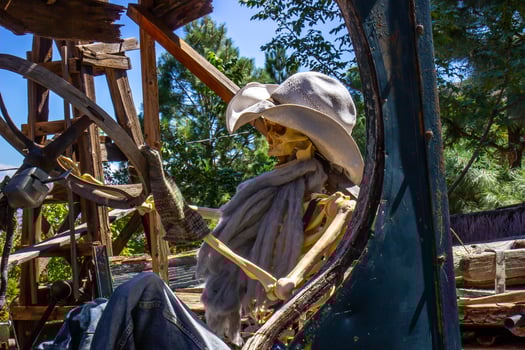 Human Skeleton Driving Old Truck photo