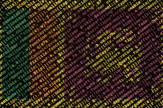 Sri Lanka flag is depicted on the screen with the program code. The concept of modern technology and site development photo