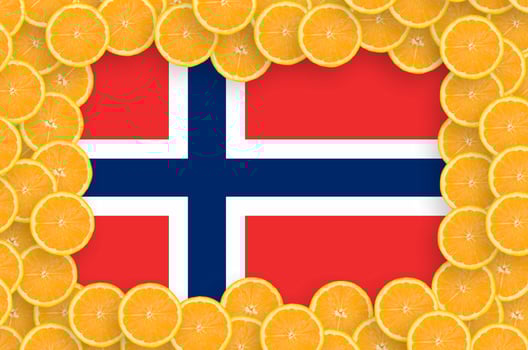 Norway flag in fresh citrus fruit slices frame photo