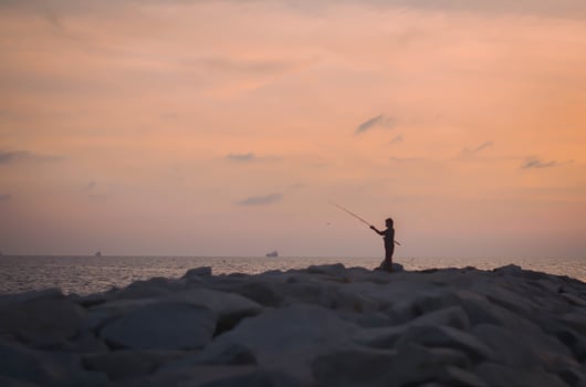 beautiful sunset on the sea in the evening photo