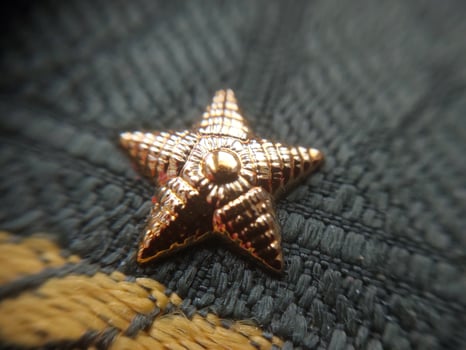 Shoulder straps of a lieutenant for military service photo