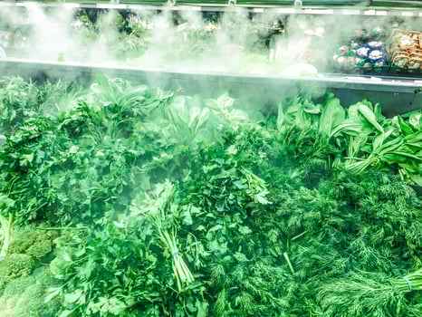 Green fresh environmentally friendly greens of parsley plants dill salad arugula onions and other plant foods with droplets of water and steam in the freshness chamber. Background, texture photo