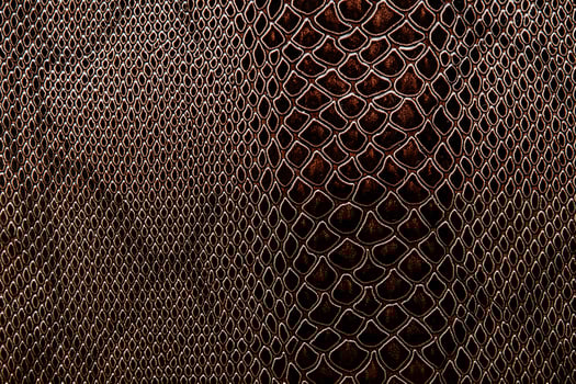 Real leather or artificial with a texture of reptile photo