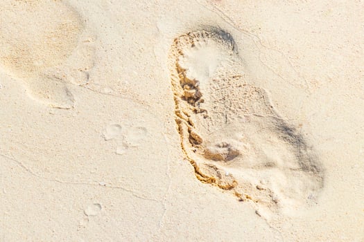 Footprint footprints on the beach sand by the water Mexico. photo