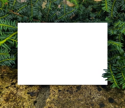 Blank framework for photo or congratulation on Christmas with pine tree and stone.