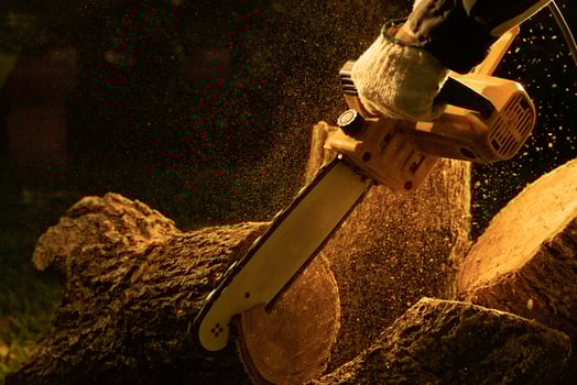 electric chainsaws cut trees in the forest for building a house and making firewood The concept of deforestation photo