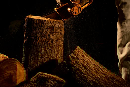 electric chainsaws cut trees in the forest for building a house and making firewood The concept of deforestation photo