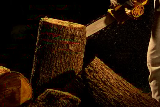electric chainsaws cut trees in the forest for building a house and making firewood The concept of deforestation photo