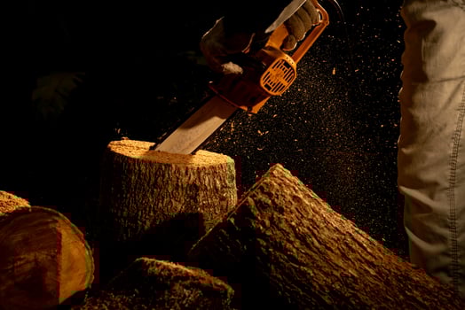 electric chainsaws cut trees in the forest for building a house and making firewood The concept of deforestation photo