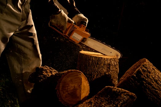 electric chainsaws cut trees in the forest for building a house and making firewood The concept of deforestation photo