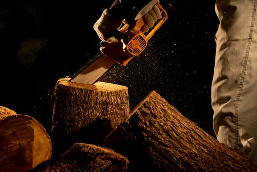 electric chainsaws cut trees in the forest for building a house and making firewood The concept of deforestation photo