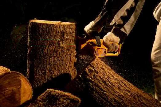 electric chainsaws cut trees in the forest for building a house and making firewood The concept of deforestation photo