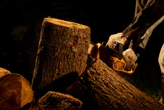 electric chainsaws cut trees in the forest for building a house and making firewood The concept of deforestation photo