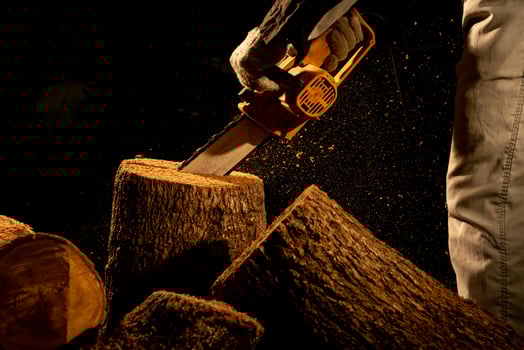 electric chainsaws cut trees in the forest for building a house and making firewood The concept of deforestation photo