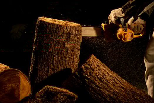 electric chainsaws cut trees in the forest for building a house and making firewood The concept of deforestation photo