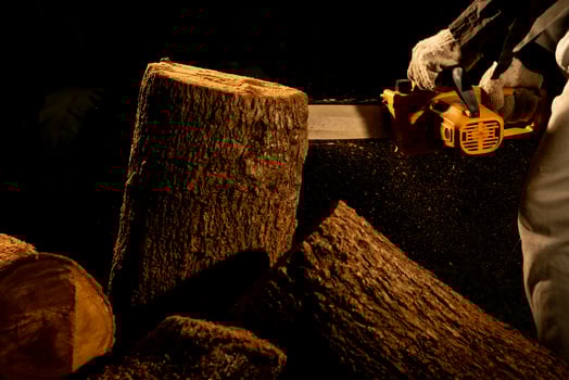electric chainsaws cut trees in the forest for building a house and making firewood The concept of deforestation photo
