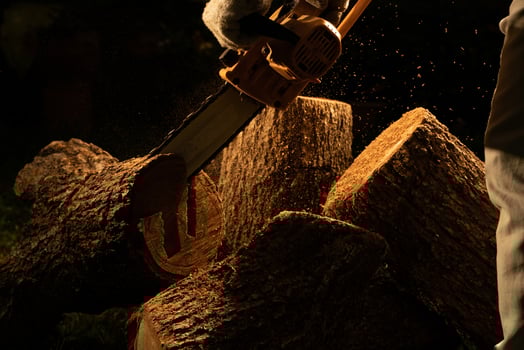 electric chainsaws cut trees in the forest for building a house and making firewood The concept of deforestation photo