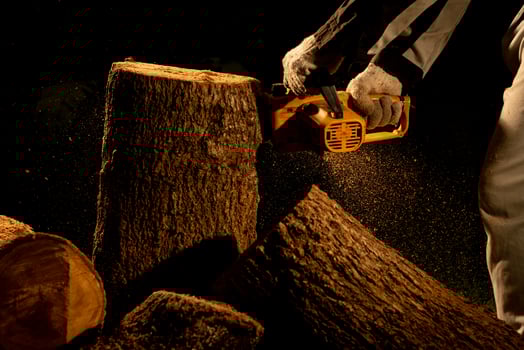 electric chainsaws cut trees in the forest for building a house and making firewood The concept of deforestation photo