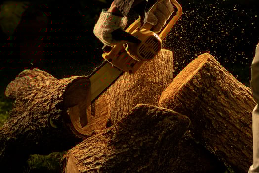 electric chainsaws cut trees in the forest for building a house and making firewood The concept of deforestation photo
