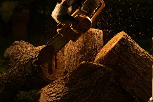 electric chainsaws cut trees in the forest for building a house and making firewood The concept of deforestation photo