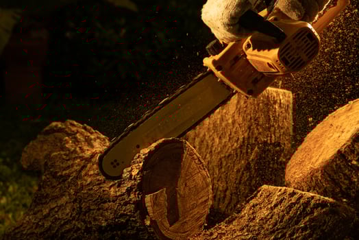 electric chainsaws cut trees in the forest for building a house and making firewood The concept of deforestation photo