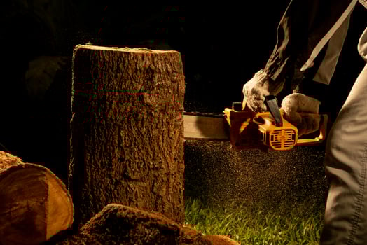 electric chainsaws cut trees in the forest for building a house and making firewood The concept of deforestation photo